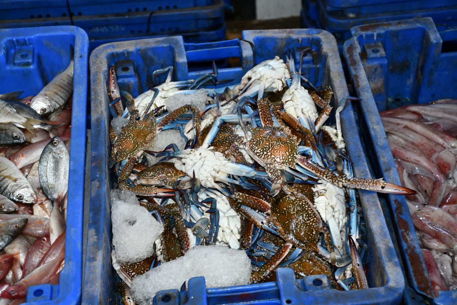 WhatsApp Image 2020-11-23 at 8.41.16 AM (2).jpeg.jpeg